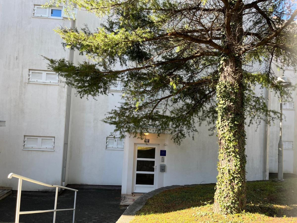 Apartman Maja Selce Extérieur photo